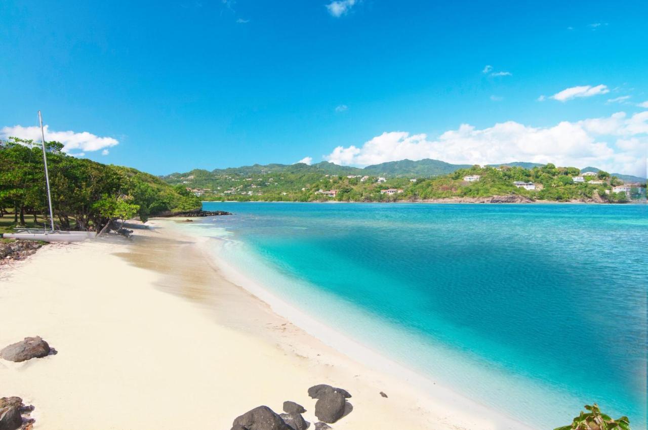 473 Grenada Boutique Resort St. George's Экстерьер фото