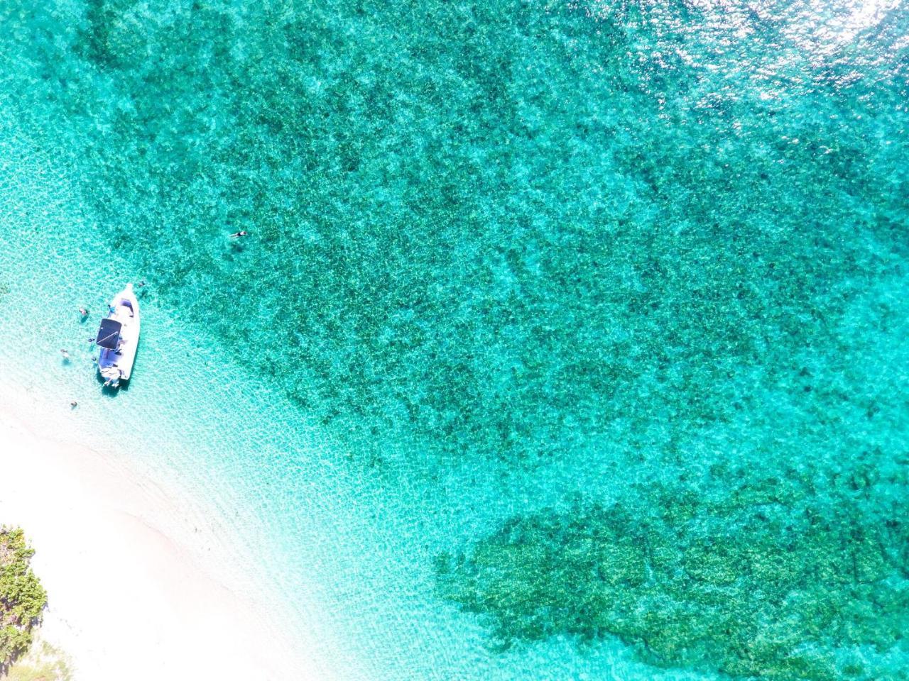 473 Grenada Boutique Resort St. George's Экстерьер фото