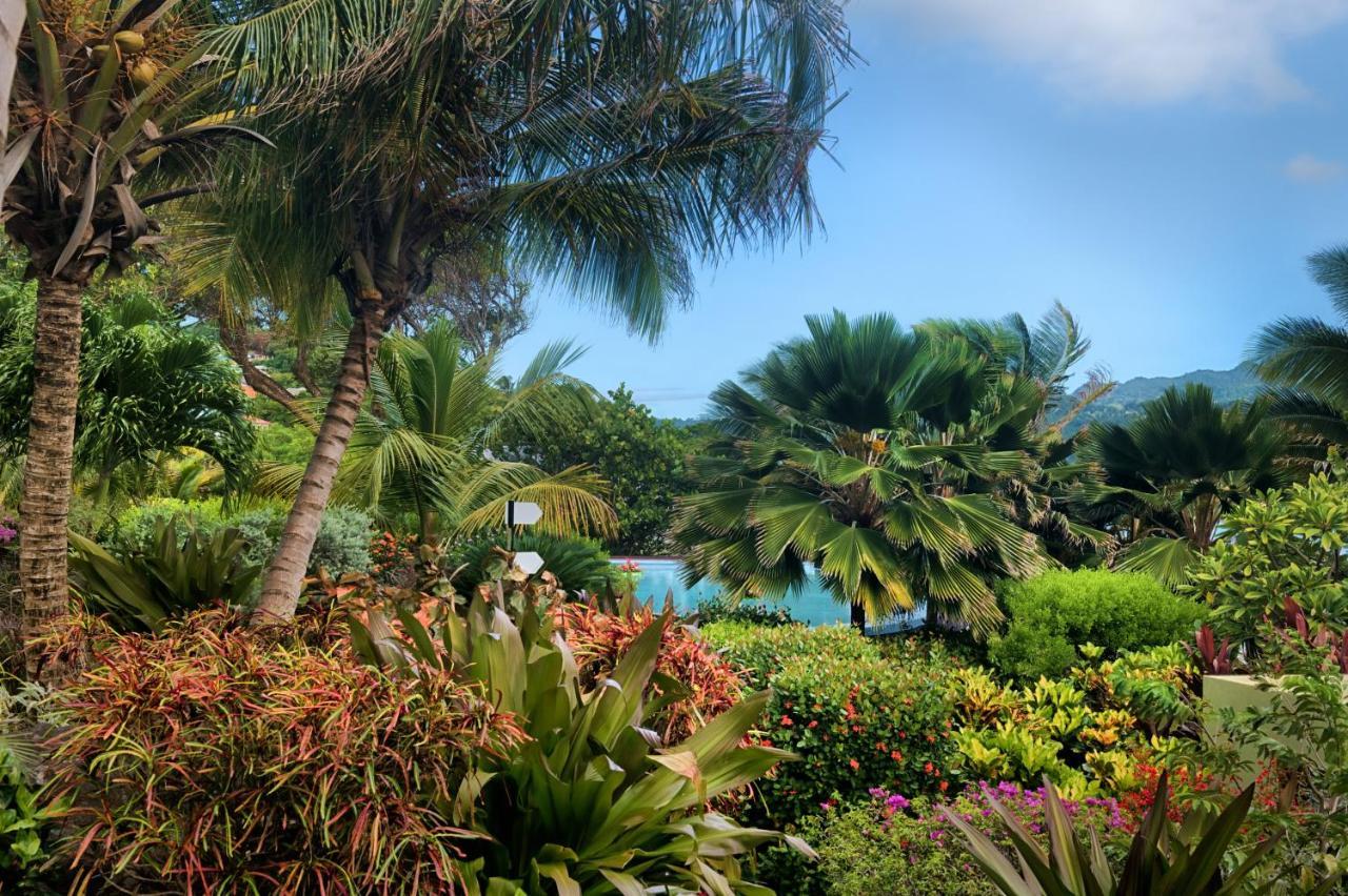 473 Grenada Boutique Resort St. George's Экстерьер фото