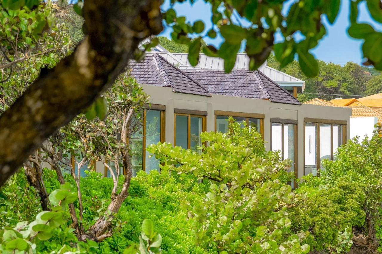 473 Grenada Boutique Resort St. George's Экстерьер фото